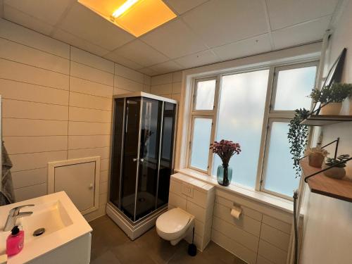 دش, Pænt og hyggeligt Lejlighed in Vanlose