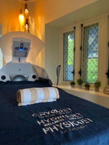 Château des Avenieres