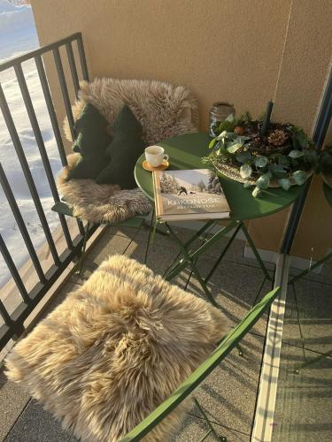 Apartmán Dole v Dole (Apartman Dole v Dole) in 賽爾妮道夫