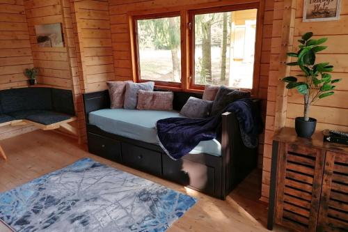 1 queen bed, 1 sofa bed