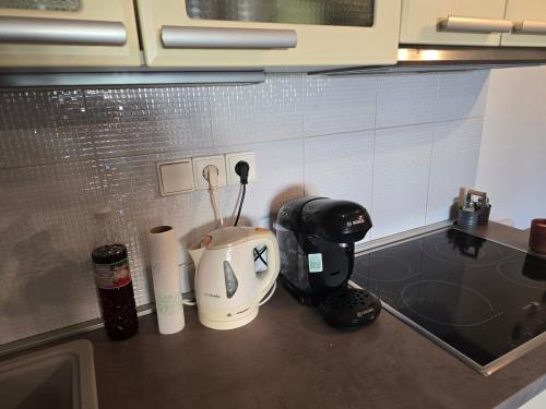 Apartmán Violette (Apartman Violette) in โนวา อูลิเช