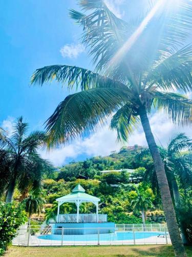 Coconut, Anse Marcel, Beach & Pool, Anse Marcel  (zdjęcie 4)