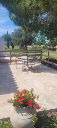 Mas Sicard chambre d'hôtes en Camargue Mas Sicard chambre d'hôtes en Camargue