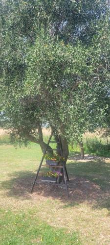 Mas Sicard chambre d'hôtes en Camargue Mas Sicard chambre d'hôtes en Camargue