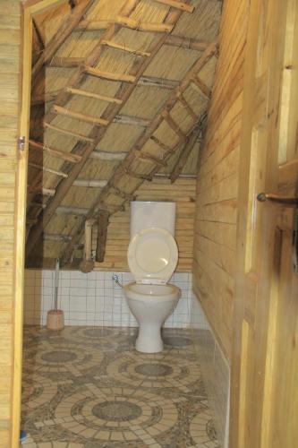 Rock Nature Safaris Lodge