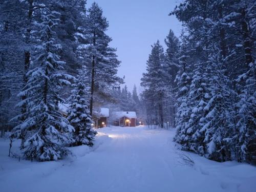 Kuosto ja Luppo in อากาสโลมโปโล