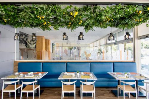 Restaurant, Hotel Velvet Plaza in Guadalajara City Center