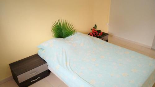 T3 plein centre et bord de mer in Le Carbet