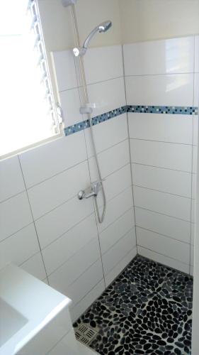 T3 plein centre et bord de mer in Le Carbet