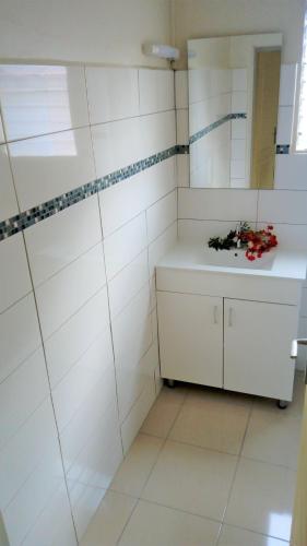 T3 plein centre et bord de mer in Le Carbet