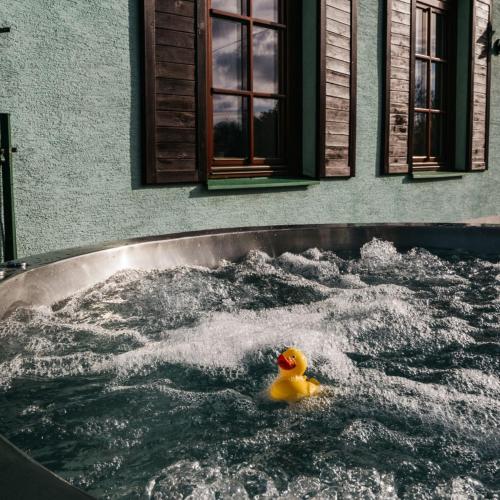 Chata Severka s Wellness in Rokytnice V Orl. Horach