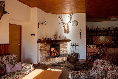 Chata Severka s Wellness in Rokytnice V Orl. Horach