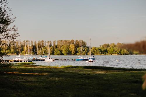 Gościniec Paradise obrázok