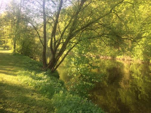 Ferienwohnung Am Stadtpark 13.2km von Fichtenberg entfernt