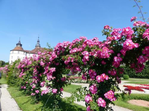 Apartment Schloßblick - image 11