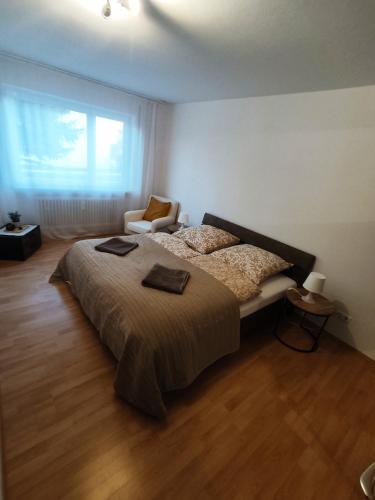 Ferienwohnung Sonnenfeld mit Gartenblick in ไฟรลาสซิง