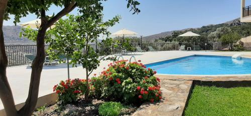 Petrochori ApartHotel in Kourites
