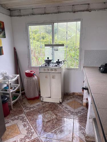 Andean Mot Mot Coffee - Puerto Asís Farm