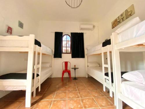 Camera condivisa, dormitorio misto, 6 ospiti