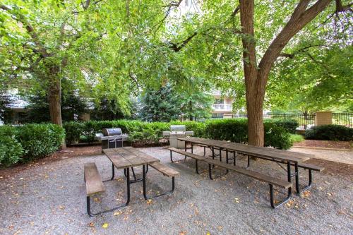 Fantastic 2 Bedroom Apartment with Gym at Arlington in Arlington, USA