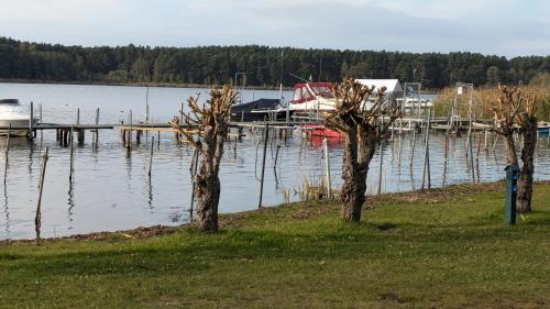 Skats, Ferienhaus Golinski auf eigenem komplett umzäunten Grundstück im Unterspreewald mit Kamin (Ferienhaus Golinski auf eigenem komplett umzaunten Grundstuck im Unterspreewald mit Kamin) in Markische Heide Ot Leibchel
