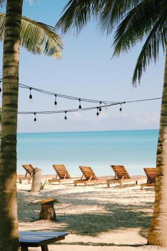 Swimming pool, Hotel Cielo y Selva in Punta Allen