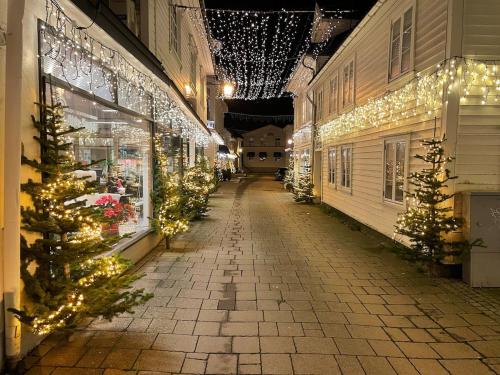 Supanti aplinka, House by the river in Flekkefjord in Flekefjordas