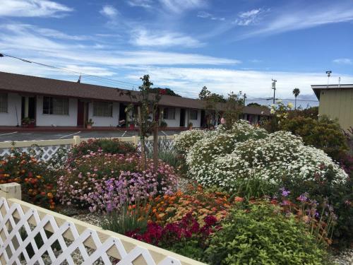 Wagon Wheel Motel - 정원