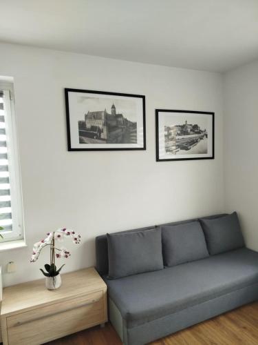 Apartament w Centrum Malborka