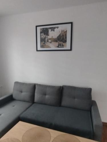 Apartament w Centrum Malborka
