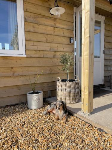 Hotelli välisilme, Luxury Boutique retreat, hot tub, dog friendly in Hammer