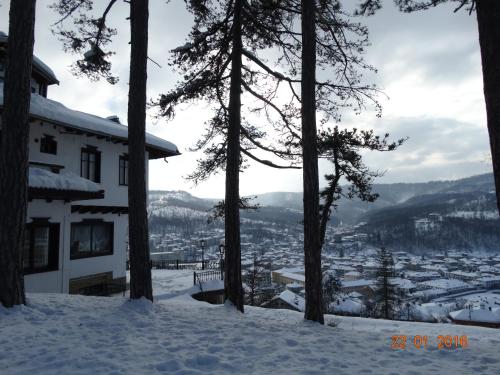 Complex Brashlyan, Trjawna (zdjęcie 2)