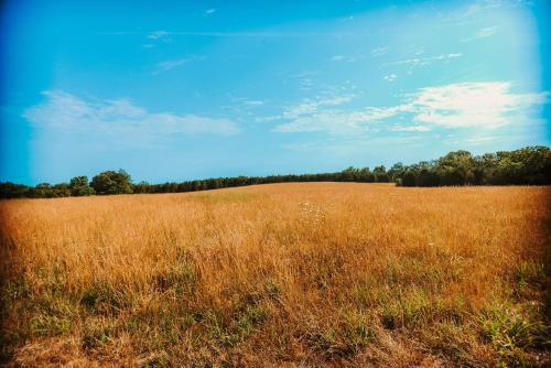 The Hideout The Hideout