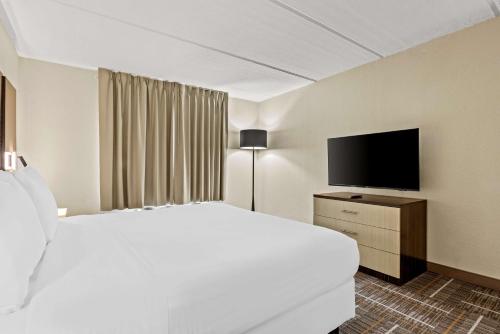 One-Bedroom King Suite - Non-Smoking