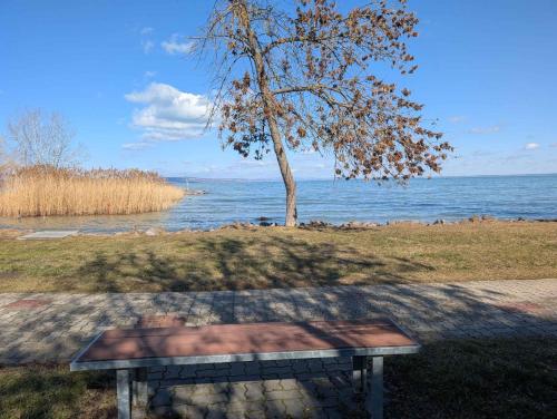 Apartment in Siofok - Balaton 53708, Siófok (zdjęcie 3)