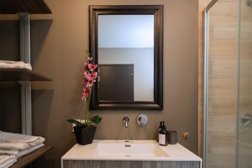 Condesa Luxury Lofts 1210 Condesa Luxury Lofts 1210