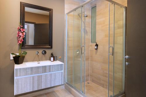 Condesa Luxury Lofts 1210 Condesa Luxury Lofts 1210