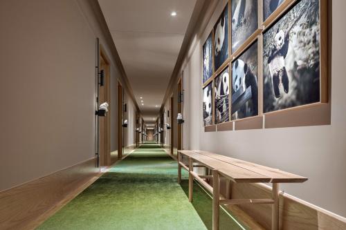 Panda Hotel – Mianyang, IL