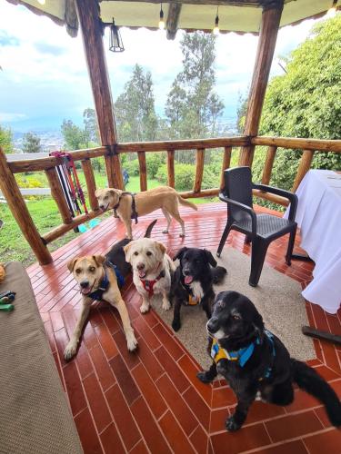 Casa rústica con vista increíble y aire fresco (Casa rustica con vista increible y aire fresco) in ตุมบาโก