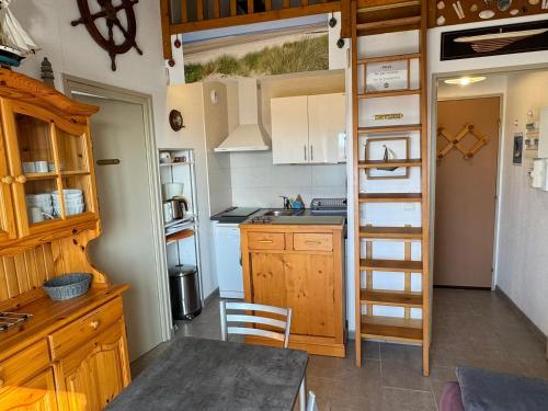 Appartement 2 pièces accès direct plage, animaux acceptés, Wifi - FR-1-487-378 Appartement 2 pièces accès direct plage, animaux acceptés, Wifi - FR-1-487-378