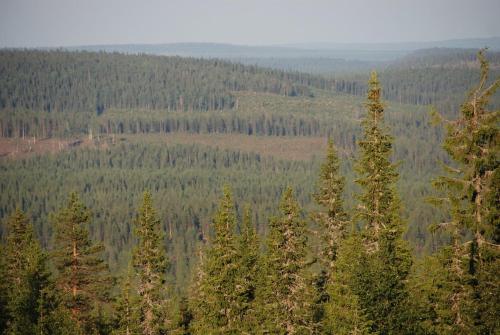 Erä, kahden makuuhuoneen kelomökki, lukuisten polkujen, polkupyöräreitin sekä kalaisan tunturilammen vieressä, Syöte (Foto 10)