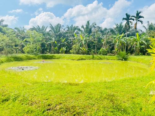 Chom Nakhon Resort