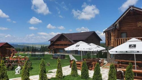 Poiana Bucovineana in Poiana Negrii