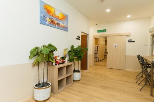 Luma Nest Capsules Luma Nest Capsules