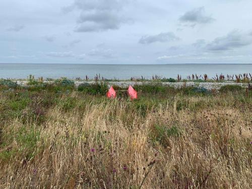 Kayak, Fish And Enjoy The Sea View, Nykøbing Sjælland (Foto 9)