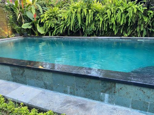 Sabar House Ubud View by EPS
