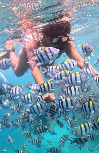 Gili Mesari Cottages & Homestay 4