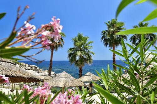 Arbatax Park Resort - Dune - image 13