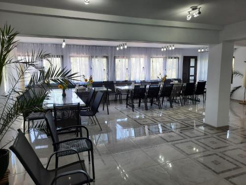 Timona in 多瑙瓦圖爾德喬斯