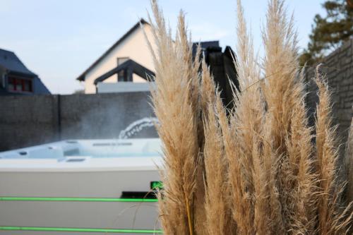 Poolaris - Modernes Ferienhaus mit Whirlpool, Pruchten (Foto 5)